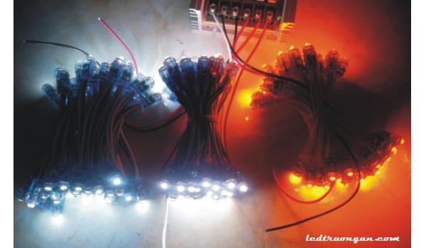 Đèn led đúc f5 - Bóng led trang trí ngoài trời đa năng