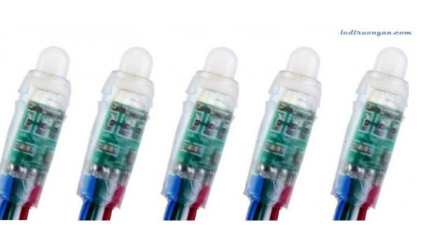 Những lý do bạn nên lựa chọn led đúc f8 RGB