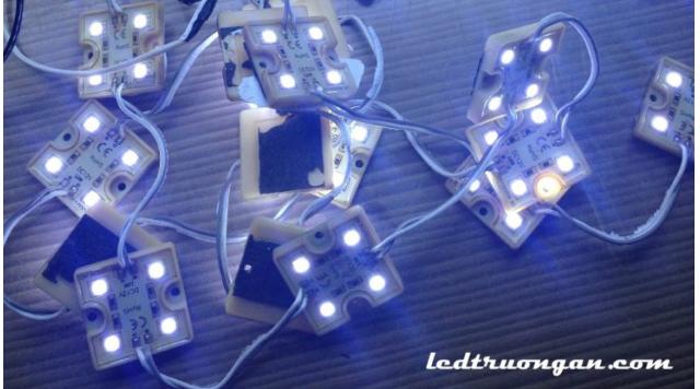 Led hắt 4 bóng gồm những loại nào?