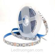 LED DÂY DÁN GONIE RGB 5050- 60led - 14W IP20